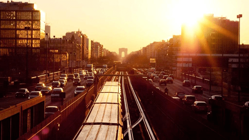 Fern - professional stock photography